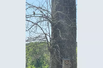 23004 Landrum Village Drive, Montgomery, TX 77316 - Photo 47