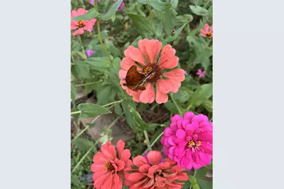 23004 Landrum Village Drive, Montgomery, TX 77316 - Photo 25