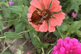 23004 Landrum Village Dr, Montgomery, TX 77316 - Photo 25