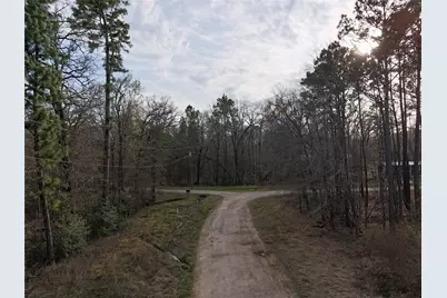 Tbd Mossy Drive, Livingston, TX 77351 - Photo 3