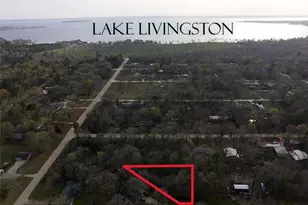 Tbd Mossy Dr, Livingston, TX 77351 - Photo 1