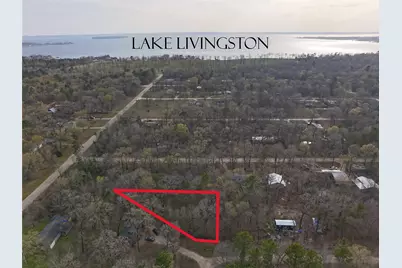 Tbd Mossy Drive, Livingston, TX 77351 - Photo 9