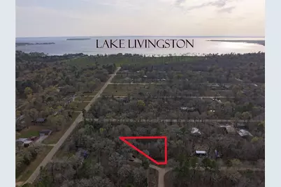 Tbd Mossy Drive, Livingston, TX 77351 - Photo 1