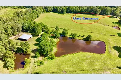 Tbd England Ln, Coldspring, TX 77331 - Photo 19