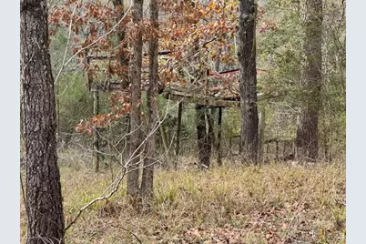 2226 Wells Landing Road, Onalaska, TX 77360 - Photo 7