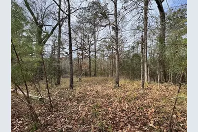 2226 Wells Landing Road, Onalaska, TX 77360 - Photo 9