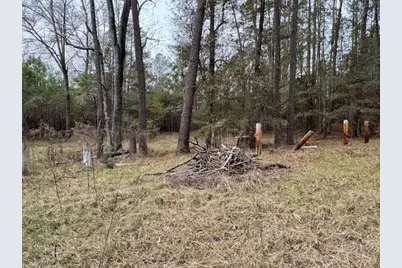 2226 Wells Landing Road, Onalaska, TX 77360 - Photo 13