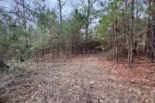 2226 Well's Landing Rd, Onalaska, TX 77360 - Photo 1