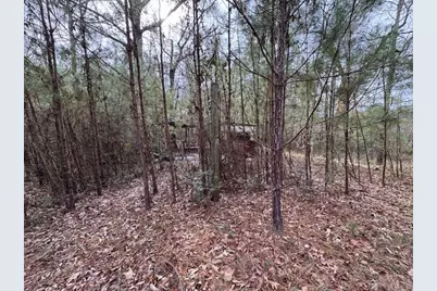 2226 Wells Landing Road, Onalaska, TX 77360 - Photo 5