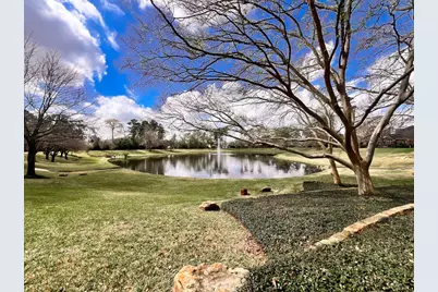 25830 Clear Springs Way, Spring, TX 77373 - Photo 37