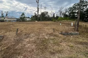 14878 Forest Castle Rd, Conroe, TX 77306 - Photo 5