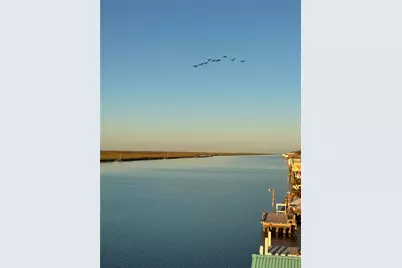 1283 County Road 230, Sargent, TX 77414 - Photo 9