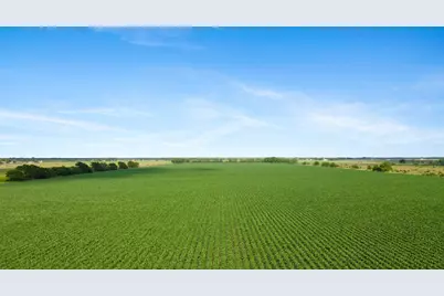 0 County Road 166 Bucks Bayou Road, Bay City, TX 77414 - Photo 9