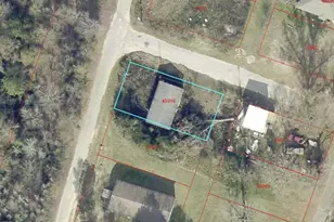 302 W Jackson, Kosse, TX 76653 - Photo 13