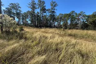 064 Private Road 6026 Tract 1-64, Brookeland, TX 75931 - Photo 1