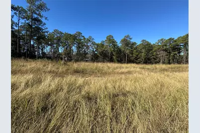 064 Private Road 6026 Tract 1-64, Brookeland, TX 75931 - Photo 5