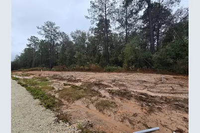 142 Splendid Road, New Waverly, TX 77358 - Photo 3