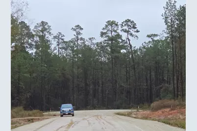 142 Splendid Road, New Waverly, TX 77358 - Photo 5