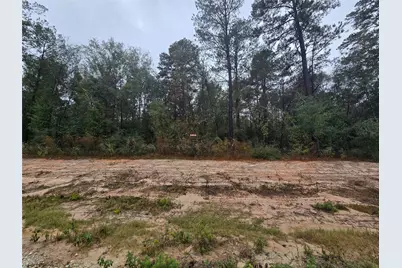 142 Splendid Road, New Waverly, TX 77358 - Photo 1