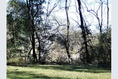 0 Brazos River Drive, Damon, TX 77430 - Photo 5