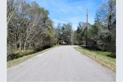 0 Brazos River Drive, Damon, TX 77430 - Photo 7