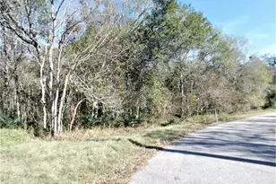 0 Brazos River Dr, Damon, TX 77430 - Photo 1