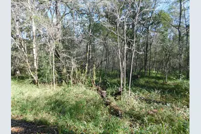 0 Brazos River Drive, Damon, TX 77430 - Photo 3