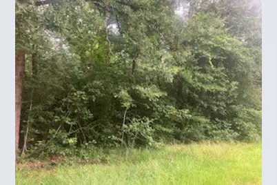 000 Wildwood Flower Circle, Livingston, TX 77351 - Photo 3