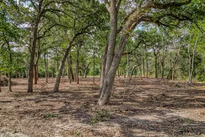 Tract 2 Sun Oil Road, Brenham, TX 77833 - Photo 9