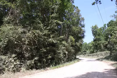 Tbd Garcia Road, Batson, TX 77519 - Photo 5