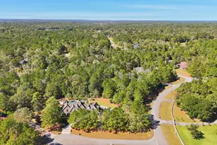 9003 Forest Lake Ct, Montgomery, TX 77316 - Photo 39