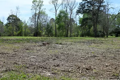 Lot 2 County Road 2360, Hardin, TX 77575 - Photo 5