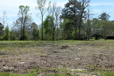 Lot 2 County Road 2360, Hardin, TX 77575 - Photo 3