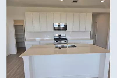 2510 Rose Gold Drive, Rosharon, TX 77583 - Photo 3