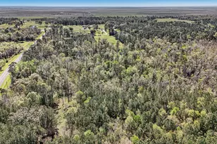 8334 FM 562, Anahuac, TX 77514 - Photo 49