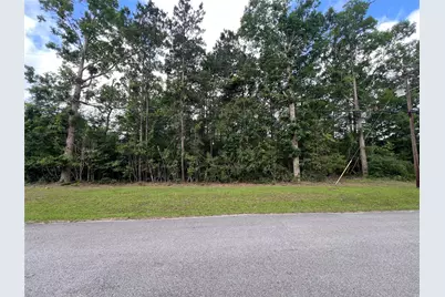 319 Lost Lake Trail, Livingston, TX 77351 - Photo 1