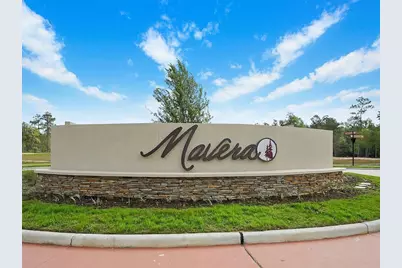 14574 Clementine Hall Drive, Conroe, TX 77378 - Photo 11