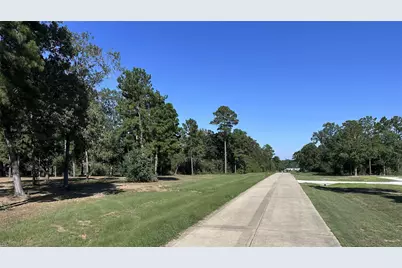 5.3 Ac Tbd -2 Spring Branch Rd, Montgomery, TX 77316 - Photo 9