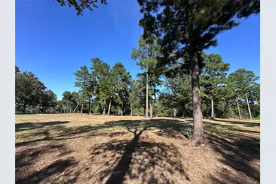 5.3 Ac Tbd -2 Spring Branch Rd, Montgomery, TX 77316 - Photo 19