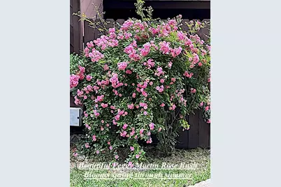 200 Fountain Lake W #125, Livingston, TX 77351 - Photo 21