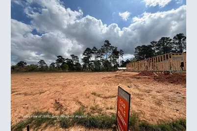 16851 Deep Wingbeat Way, Magnolia, TX 77354 - Photo 9