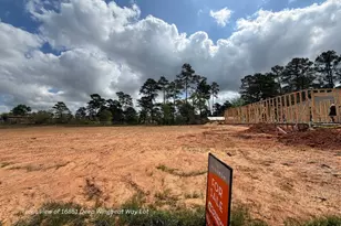 16851 Deep Wingbeat Way, Magnolia, TX 77354 - Photo 9