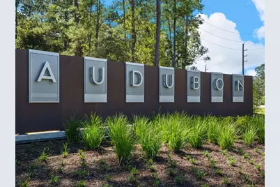 16851 Deep Wingbeat Way, Magnolia, TX 77354 - Photo 11