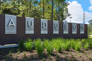 16851 Deep Wingbeat Way, Magnolia, TX 77354 - Photo 11