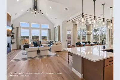 16851 Deep Wingbeat Way, Magnolia, TX 77354 - Photo 3