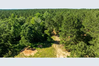 00 Fm 3016, Grapeland, TX 75844 - Photo 11