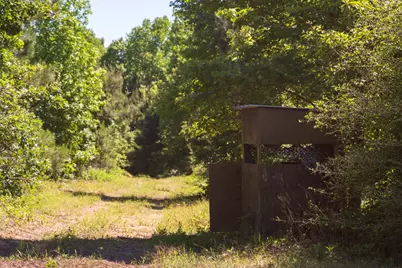 00 Fm 3016, Grapeland, TX 75844 - Photo 3