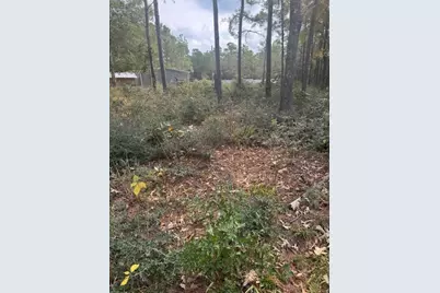 0 Basswood Lane, Plantersville, TX 77363 - Photo 5