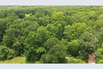 Tract #3 Cr 2065, Crockett, TX 75835 - Photo 11