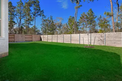 15223 Deseo, Conroe, TX 77302 - Photo 27